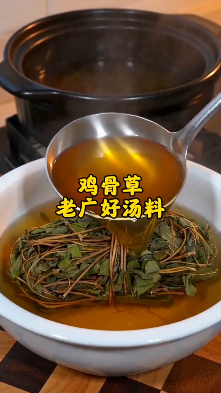 老广挚爱鸡骨草汤，春夏祛湿必备#鸡骨草煲汤#