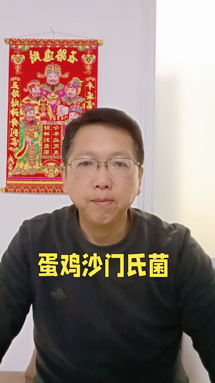 **鸡群零星死亡？警惕沙门氏菌病**