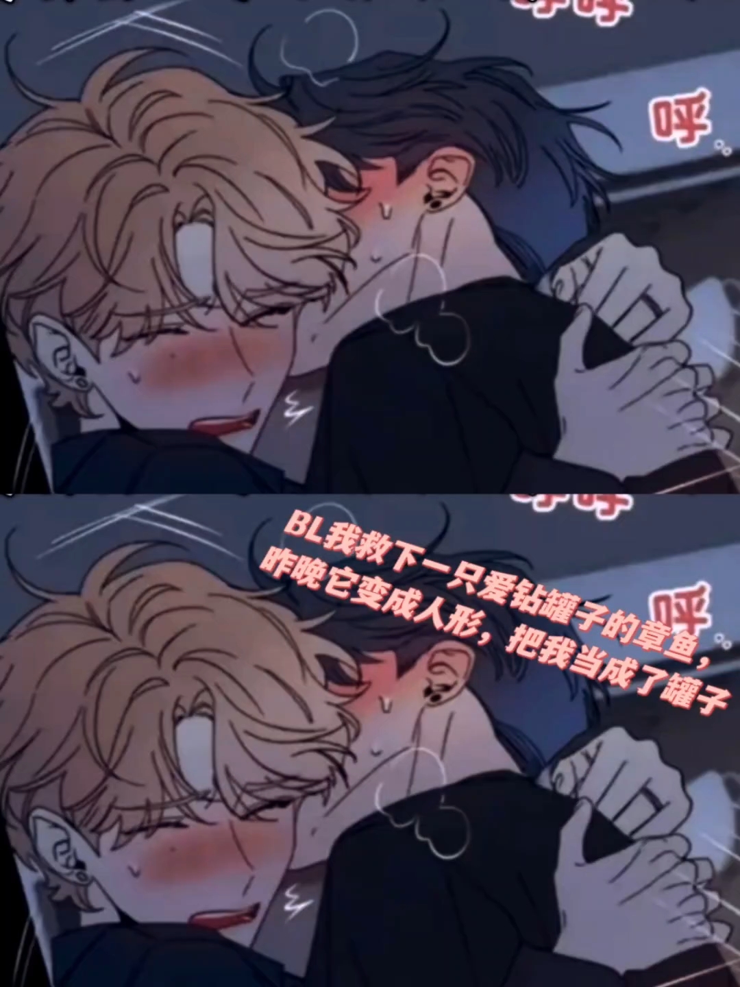 一只爱钻罐子的章鱼被我救下,它变成人形却把我当成了罐子
