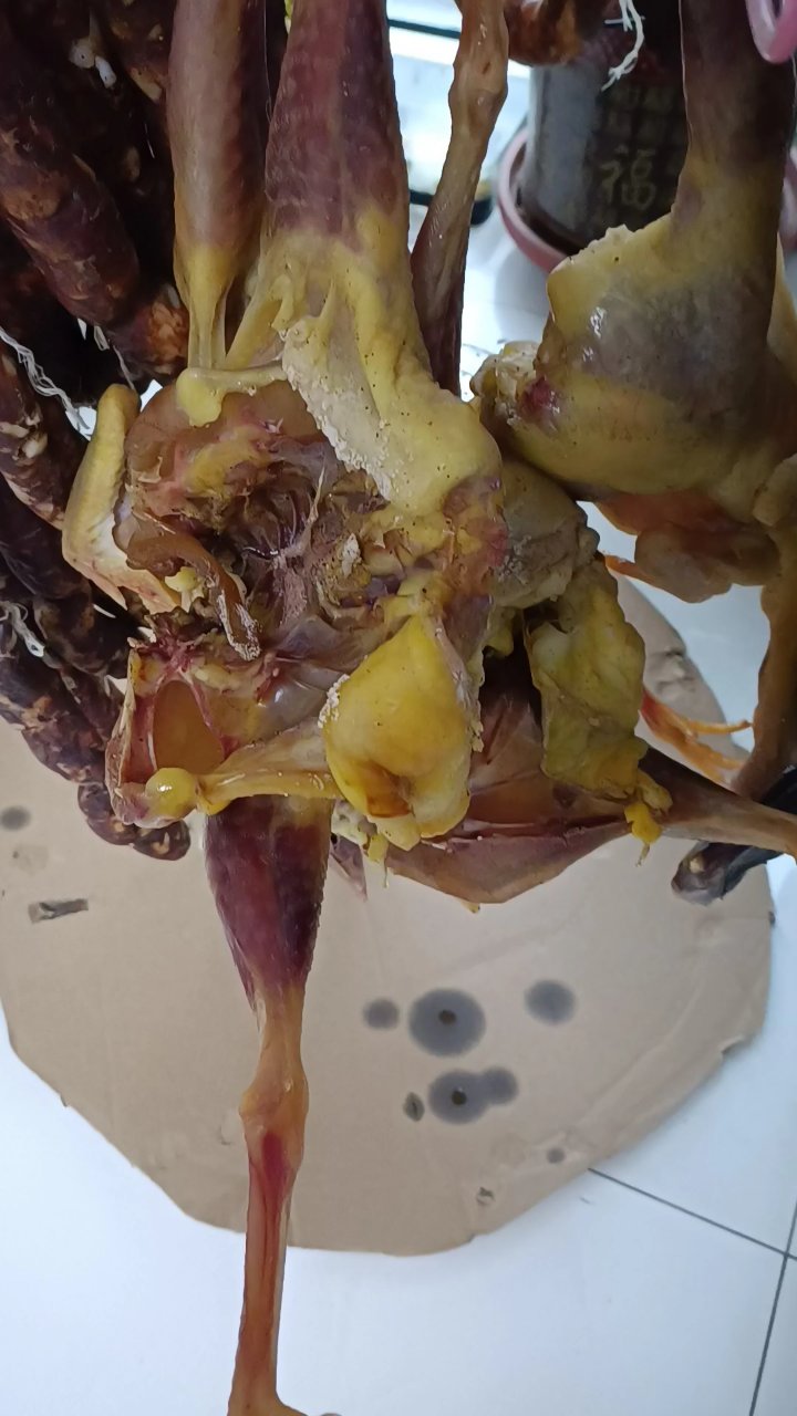 腊鸡,农村的土散养老母鸡