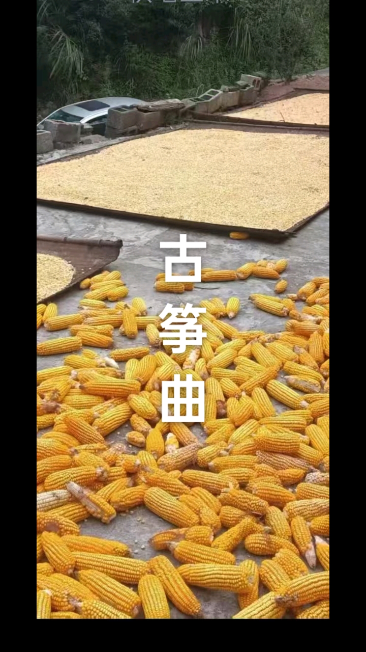 古筝曲