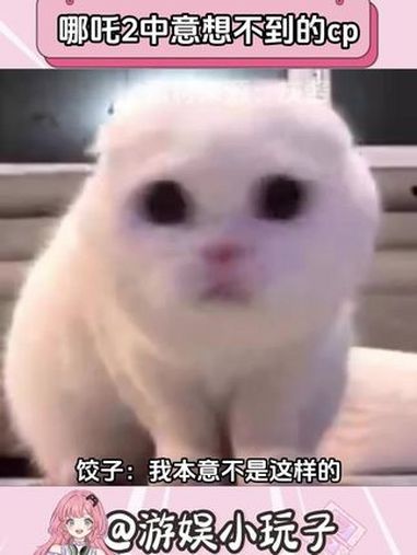 饺子下手没轻没重的 哪吒2 动漫 同人 cp
