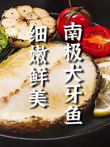 好的银鳕鱼要皮质厚、胶质浓、肉质紧,这款银鳕鱼一定要拍回家!银鳕鱼做法 鳕鱼 海产品