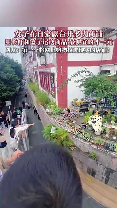 近日，四川江油一女子利用自家露台空间，种植了许多多肉植物，还开了“多肉商店”，形形色色的多