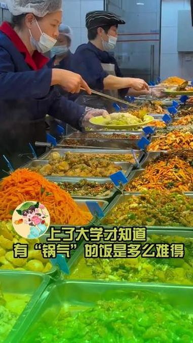 上了大学才知道有“锅气”的饭是多么难得 美食 大学食堂 下饭神器 盒饭菜品大全