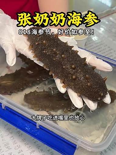 张奶奶海参99吃一个月的海参鲍鱼 即食海参 辽参 海参 食补 强烈推荐