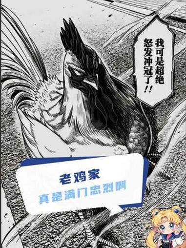 老鸡家真是满门忠烈啊 #公鸡斗士 #鸡 #动漫 #抽象