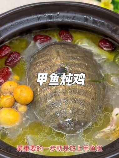 甲鱼炖鸡 滋补养生 真的很好吃 太香啦 一起学做菜