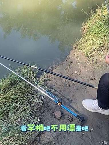 两河汇流处 野钓 钓鱼 钓鱼的乐趣只有钓鱼人懂 免费钓点 钓鱼人