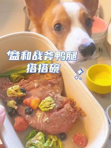益和家新出的战斧鸭腿搭搭碗,有肉有菜还有鸡汤,营养搭配简直满 分 益和战斧鸭腿 战斧鸭腿搭