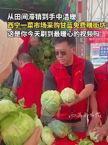 从田间滞销到手中温暖,西宁一菜市场采购甘蓝免费赠街坊,这是你今天刷到最暖心的视频吗