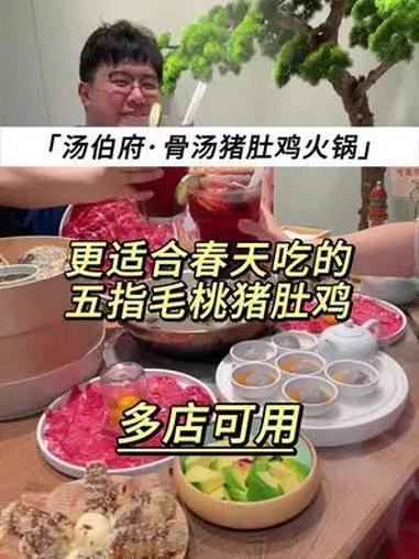 汤伯府猪肚鸡火锅 哇～这回真是汤伯府放大招!五指毛桃 猪肚鸡火锅 春季养生 汤伯府 火锅