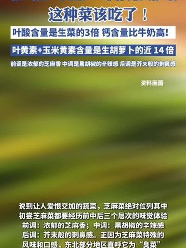 被叫做“臭菜”,却补钙又护眼,这种菜该吃了!(新华社)芝麻菜 臭菜 减肥 蔬菜沙拉