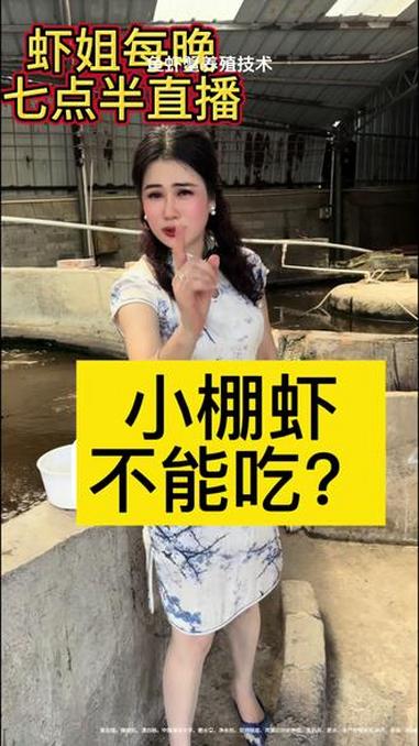 养虾技术 @水产养殖网红虾姐 他饿S了,因为拒绝一切非天然的食物 南美白对虾养殖 养虾人 