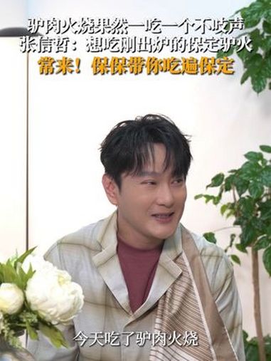 驴肉火烧果然一吃一个不吱声!张信哲:想吃刚出炉的保定驴火……常来!保保带你吃遍保定 这么近