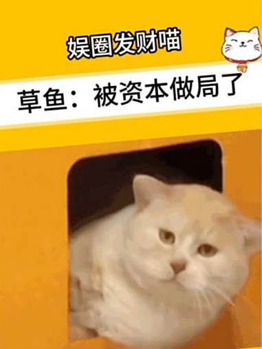 草鱼：被资本做局了……草鱼 万万没想到 搞笑 抽象 娱乐评论大赏