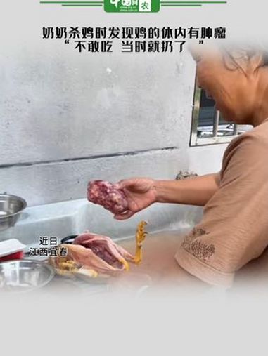 奶奶杀鸡时发现鸡的体内有肿瘤,“不敢吃,当时就扔了 ”