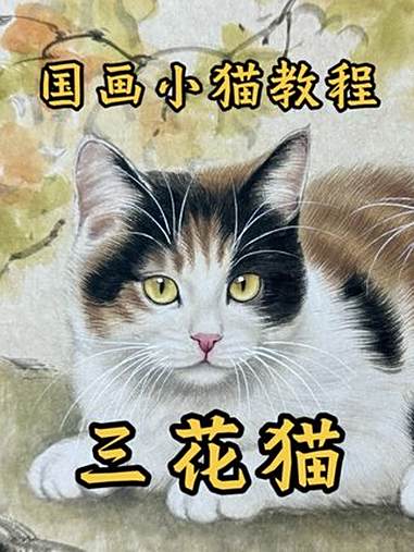 你们要的国画小猫教程来啦 国画小猫 国画教学 零基础学国画 国画 一起学国画