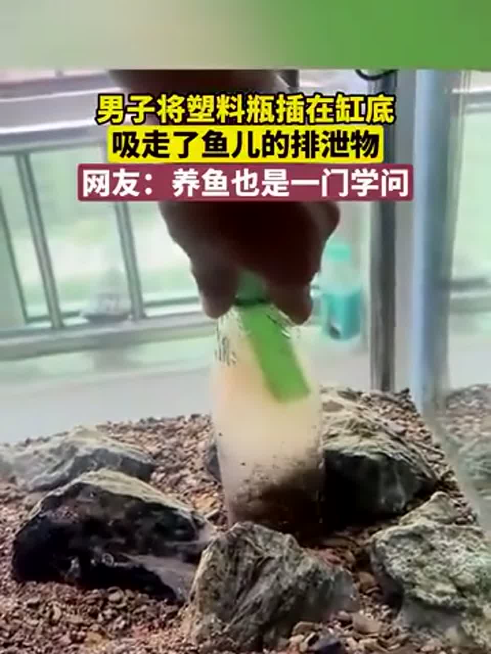 男子用塑料瓶清理鱼缸，养鱼新手的好办法！