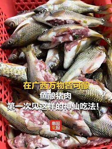 在广西万物皆可酿,鱼酿猪肉,第一次见这样的神仙吃法!鱼 美食 广西