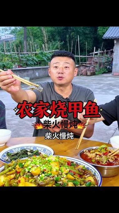 柴火烧甲鱼，洋芋四季豆当主角 乡下逮到一只小甲鱼，喊老爸、魏四爸、二哥凑上洋芋四季豆，柴火