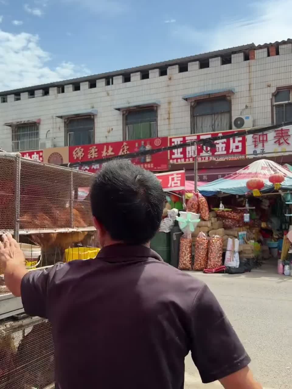 龙哥买上一只十斤的大公鸡，咱河南的大盘鸡给小白安排上，再叫上朋友聚在一起吃顿便饭热闹热闹