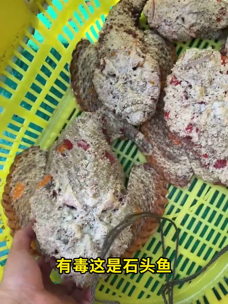 哪些海鱼有毒，哪些海鱼能吃，你了解多少，快给你家人