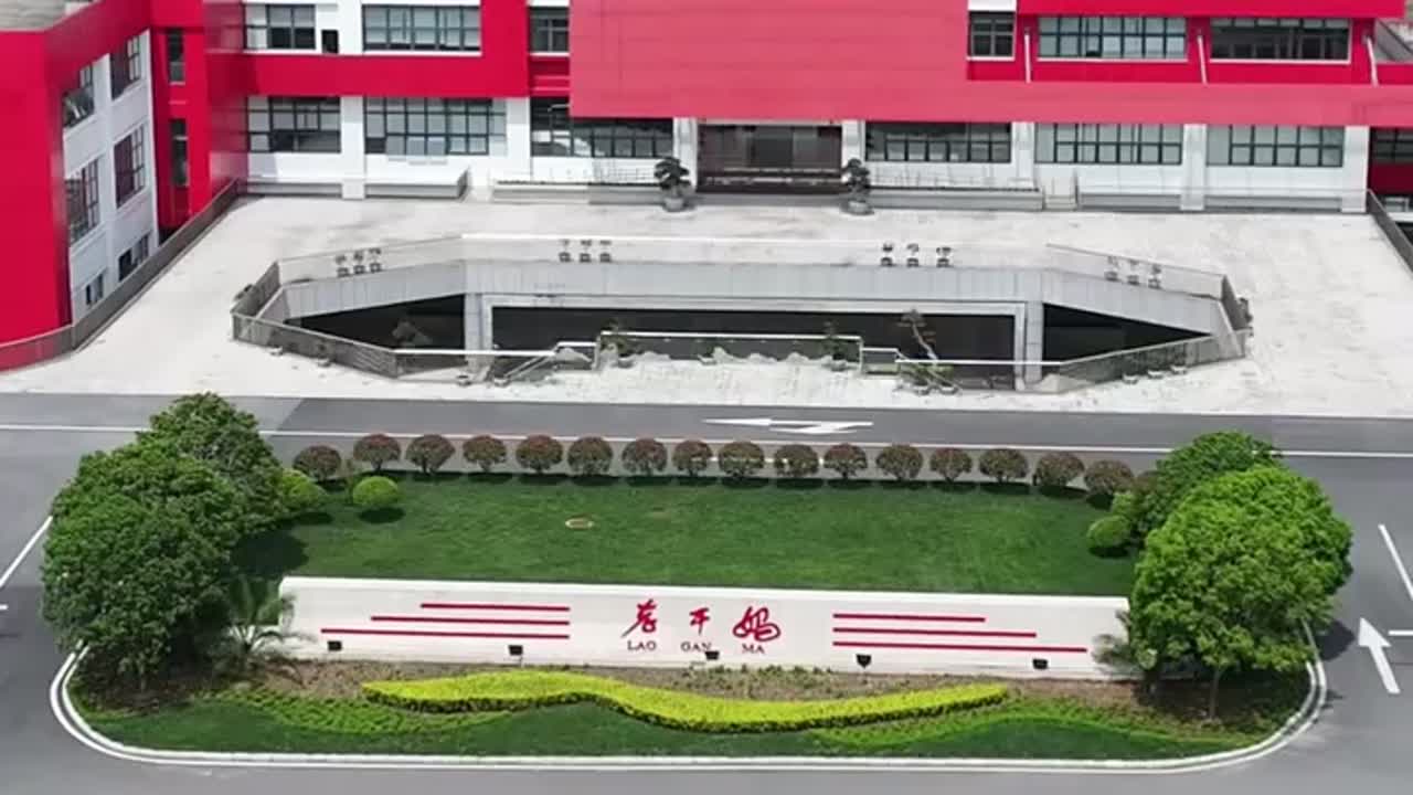 曾最受大家喜爱的老干妈辣椒酱，家家户户餐桌上的常备品，