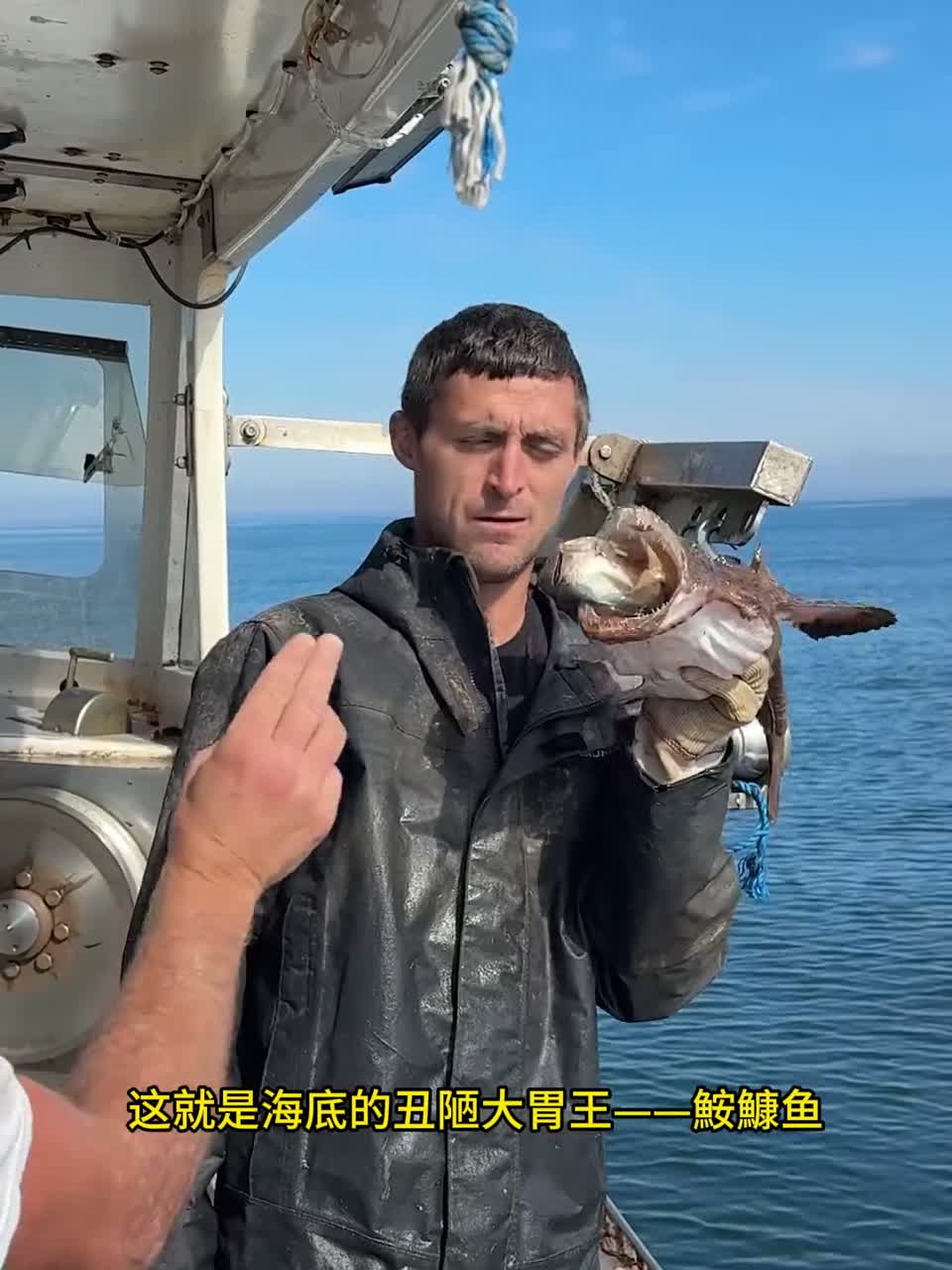 丑陋大胃王：深海猎手鮟鱇鱼。 灯笼鱼的亲戚