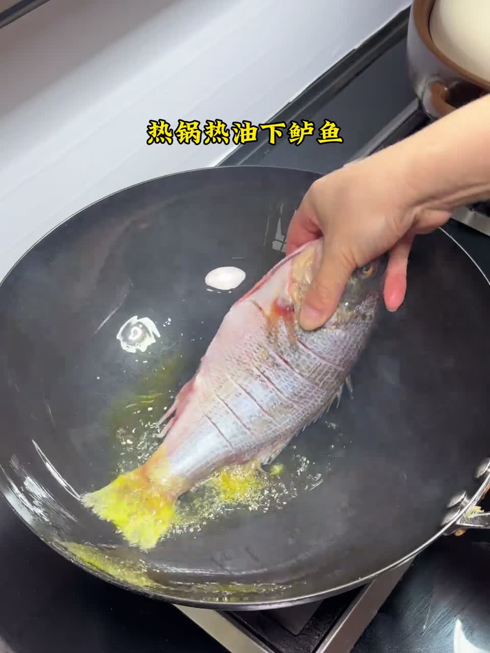 百吃不厌的鲈鱼鲜虾炖花甲 三鲜齐聚 汤汁拌米饭别提有多好吃了