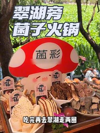 翠湖旁风景如画的菌子火锅 菌彩野生菌火锅 菌子火锅 昆明 昆明美食 云南美食