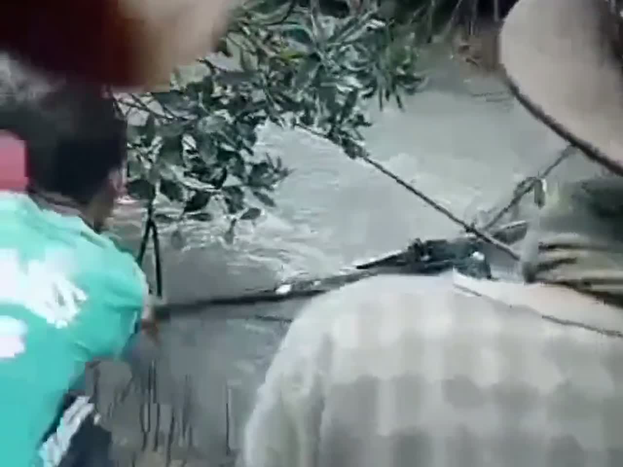 食人鳄鱼被抓住了，然而破开它的肚子却什么也没有发现