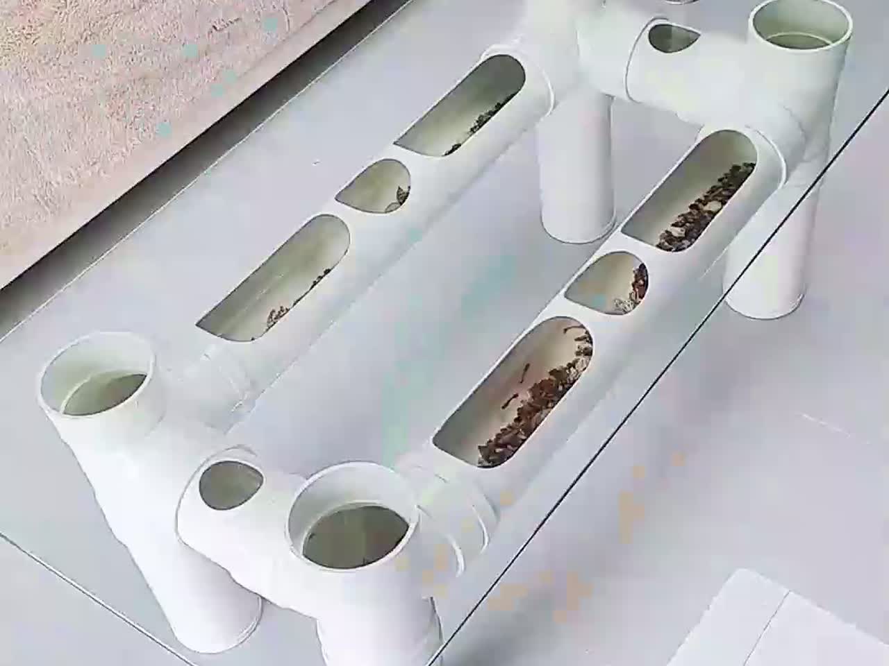 男子用水管,做了个养鱼的茶儿,喝茶养鱼两不误,生活美滋滋