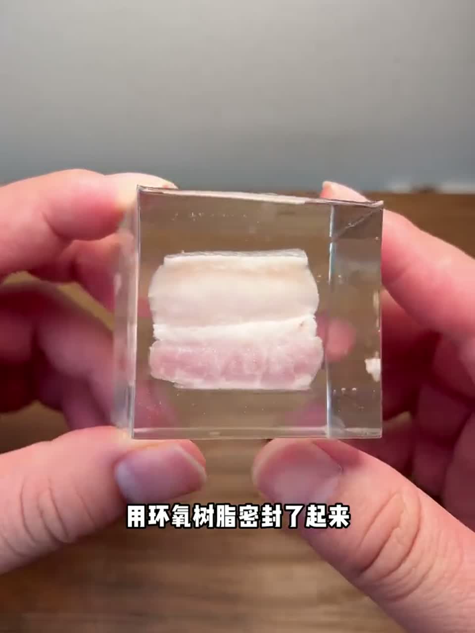 制作五花肉树脂标本
