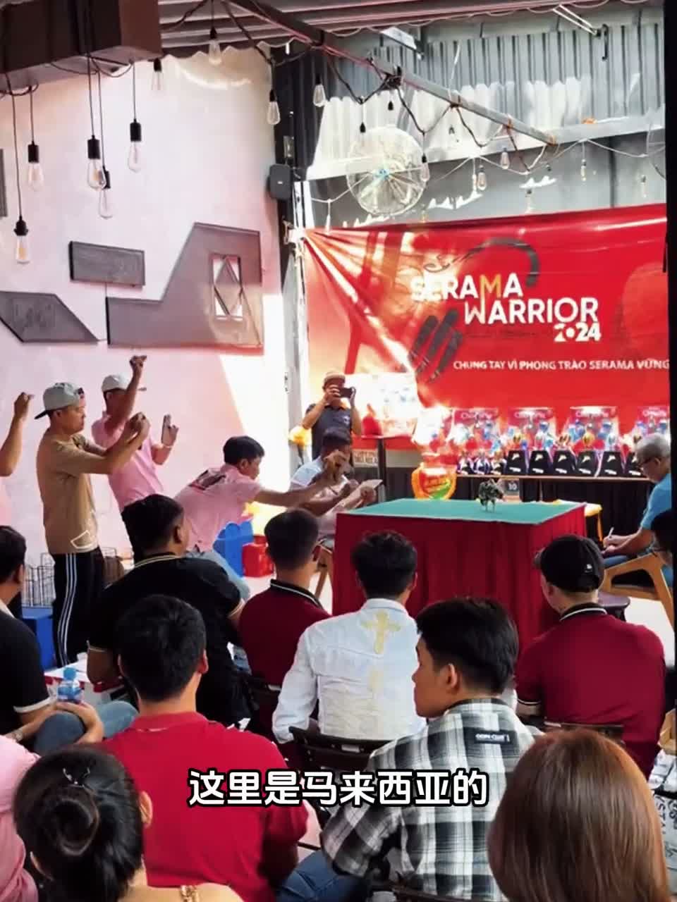 霸道总裁塞拉玛鸡