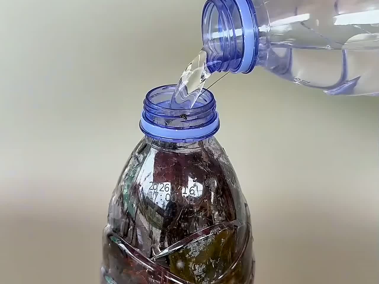 吃不完的小龙虾，可以用这个方法来保存