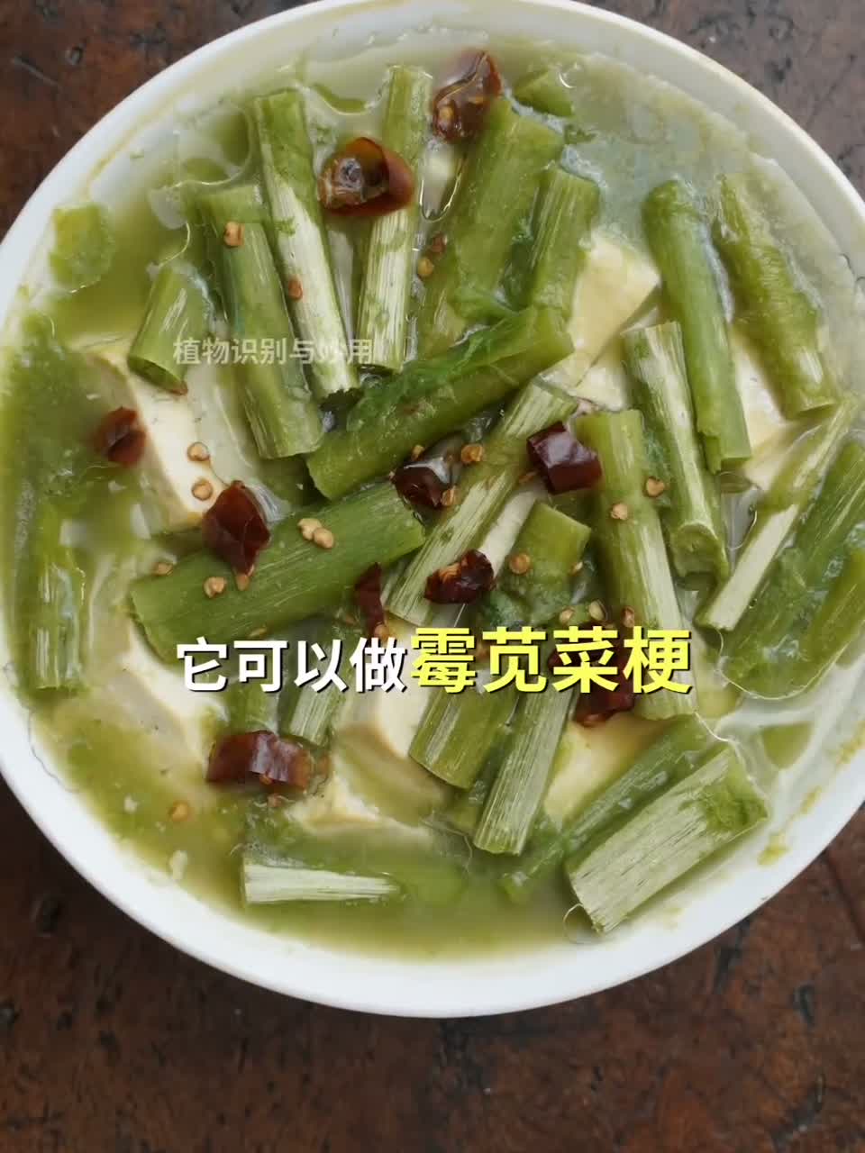 这个植物叫刺苋，用它腌制的霉苋菜梗非常好吃