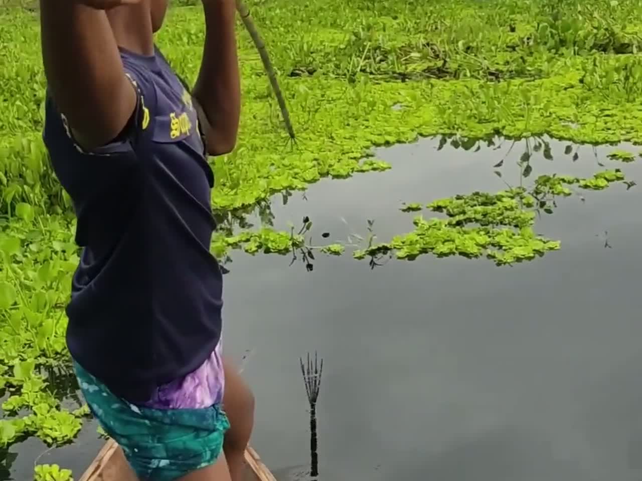 这捕鱼技术真是泰酷辣,鱼叉使得炉火纯青,妥妥的捕鱼小能手