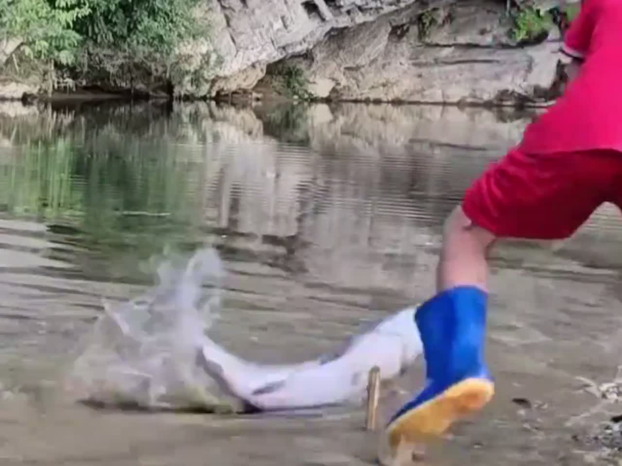 凭借着下了一夜的钓,钓上超级大的青鱼,拿到商店批发挣了不少钱
