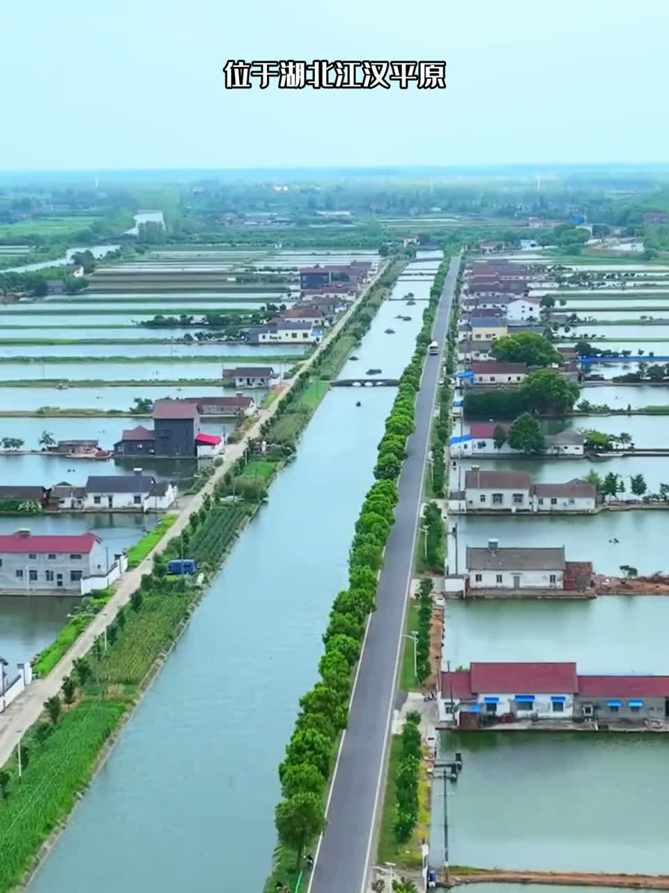 这是现实版的梦里水乡，湖北江汉平原上鱼米之乡，一户人家一口池塘，以渔为生，满眼都是羡慕。
