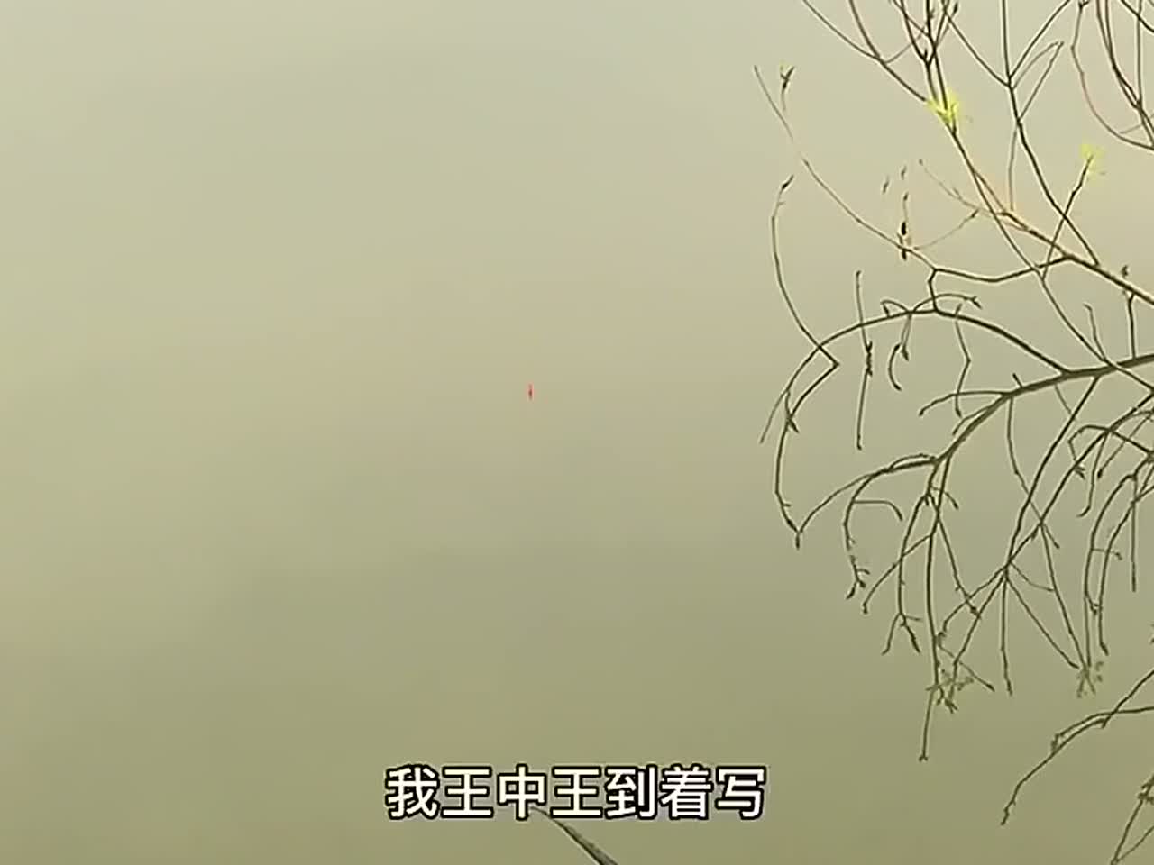 刘志强钓鱼的开饵方法