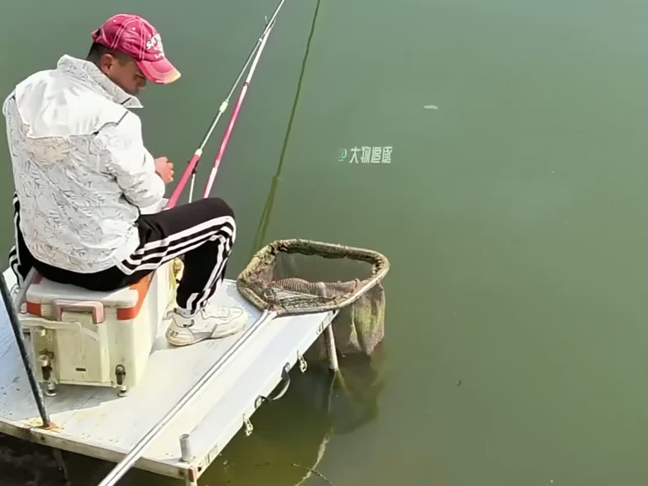 这鱼在后面是要上岸来钓鱼,前面用的是,6.3的综合鱼竿、12+10尼龙线组、15号伊势尼鱼