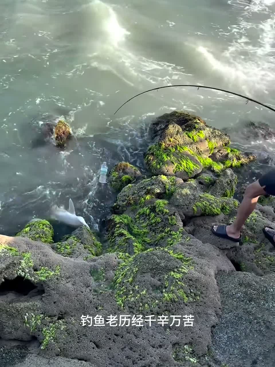 户外钓鱼：钓鱼佬钓到的鲨鱼遭到不明生物袭击怎么办