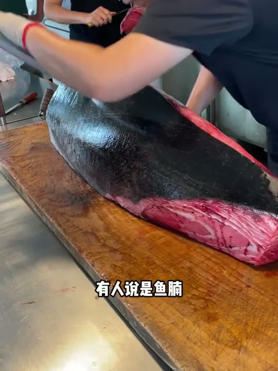 蓝鳍金枪鱼最珍贵的部位在哪里？