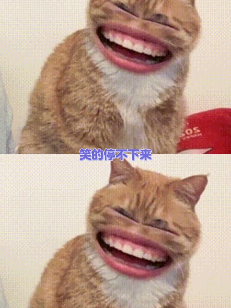 看完这波直播我满脑子都是鸡jiojio