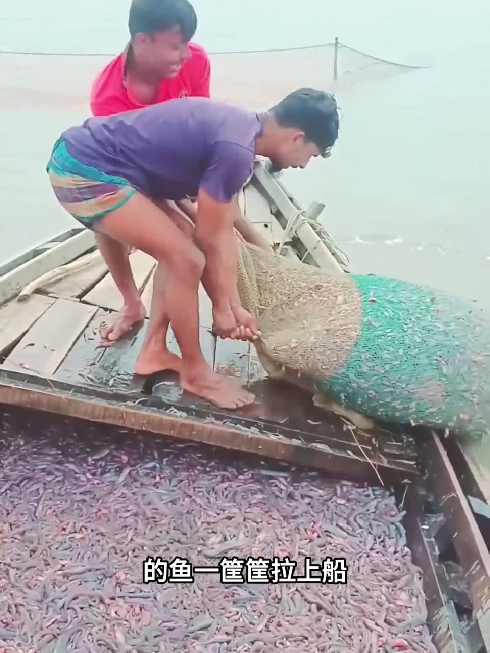 孟加拉渔民晒鱼干，连鱼油土壤都不放过！