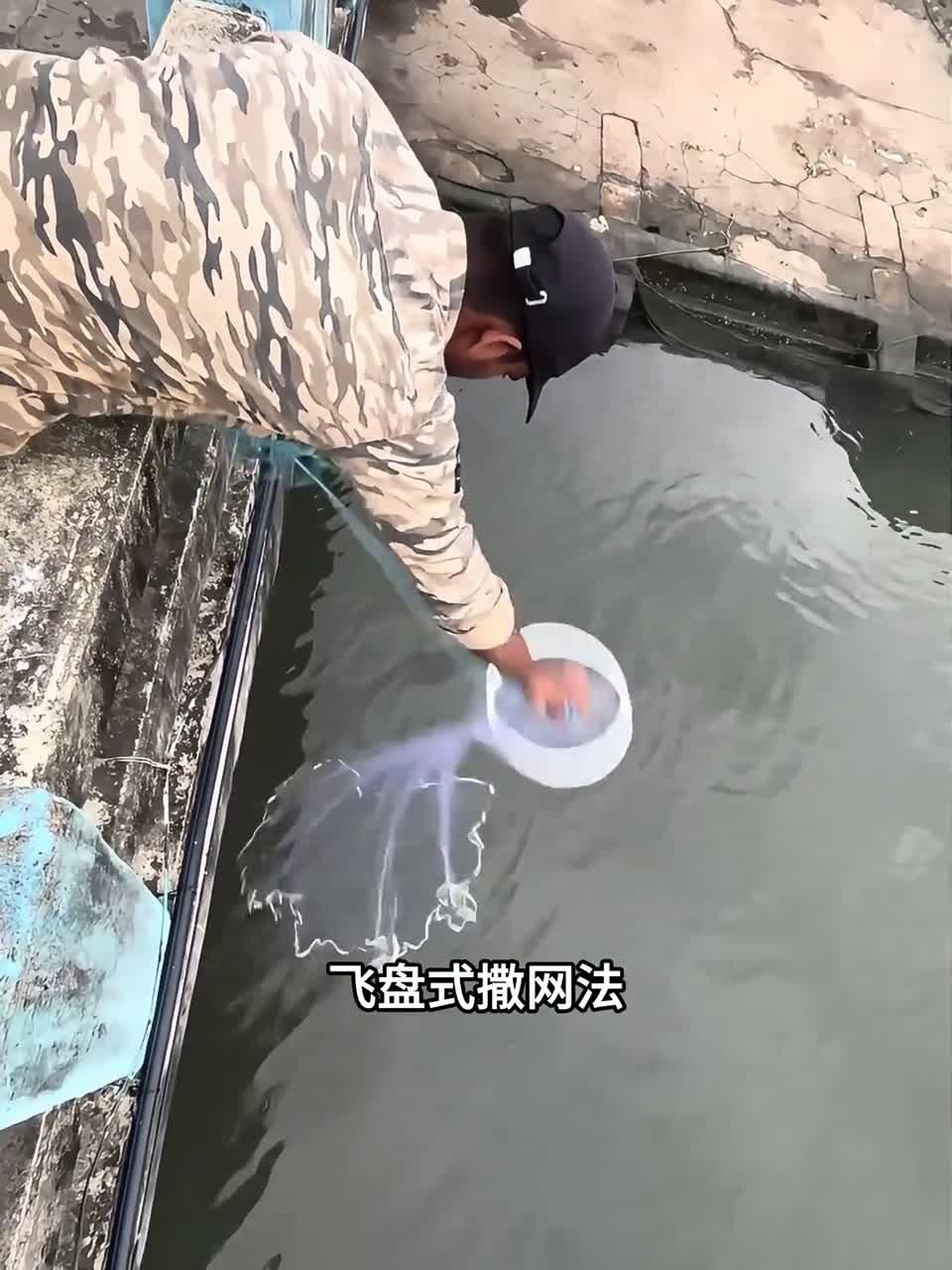 桥上船头都能用，新手秒学飞盘撒网法，捕鱼效率翻倍！