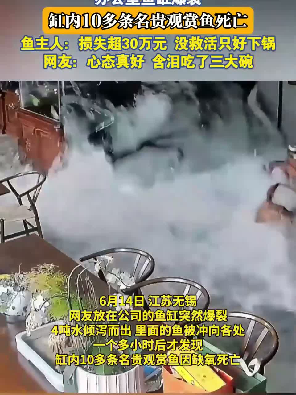 办公室鱼缸爆裂，缸内10多条名贵观赏鱼死亡，损失超30万元#这夏就出发#