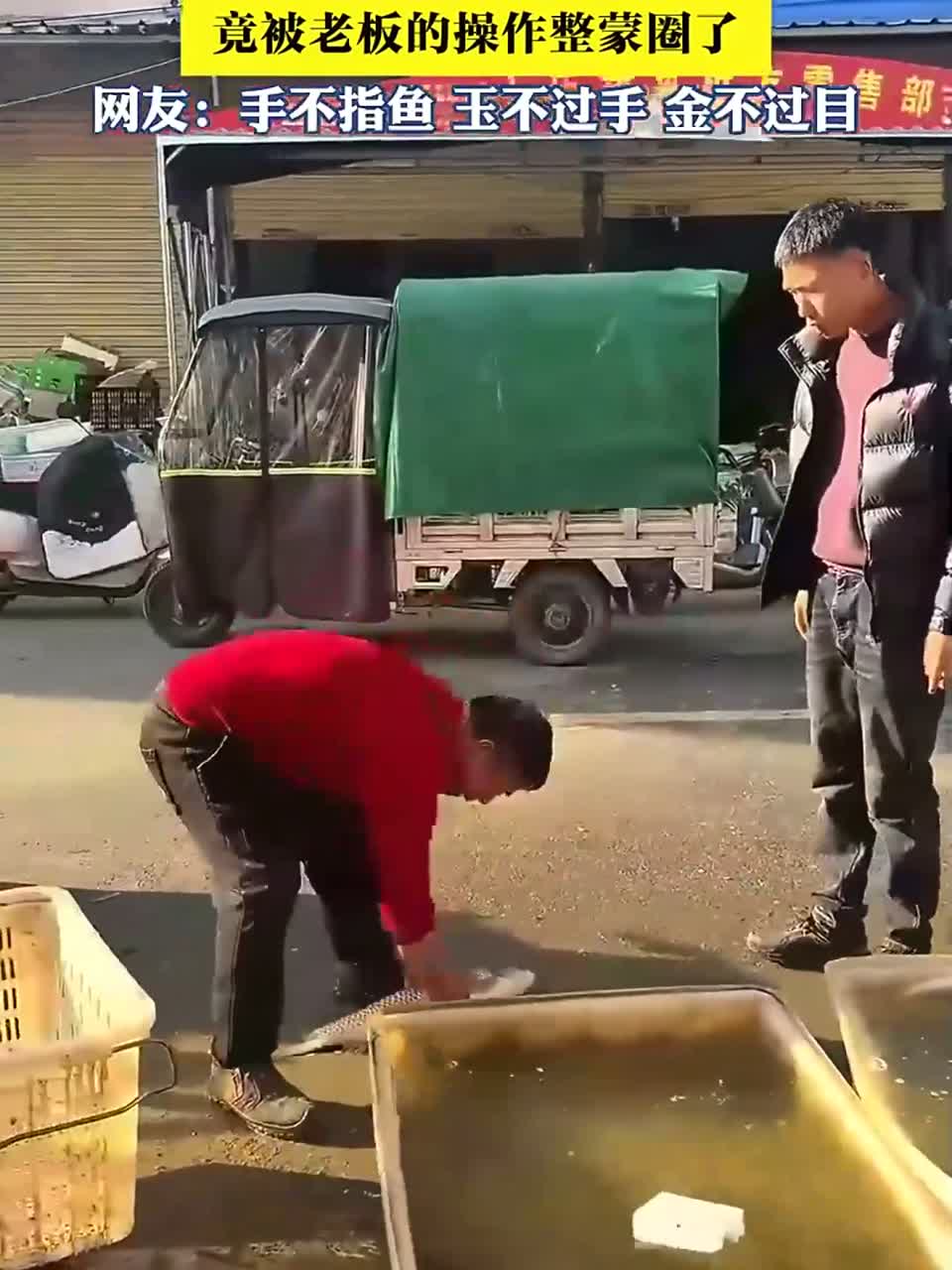 夏季男子在菜场问老板鱼咋卖的，竟被老板的操作整蒙圈了