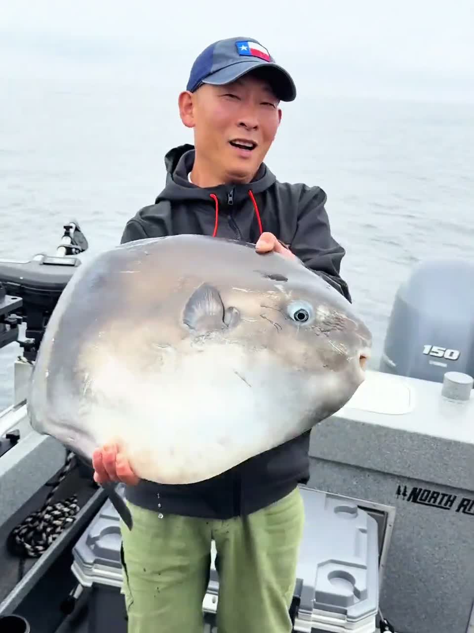 19种不同的海水鱼，你都见过几种呢？